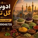 فروش و پخش عمده ادویه قم